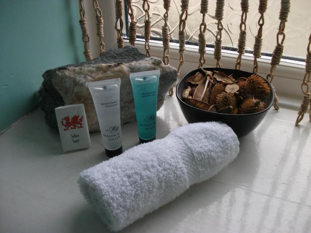ベトウス・ア・コーエド Bryn Llewelyn Bed & Breakfast 部屋 写真